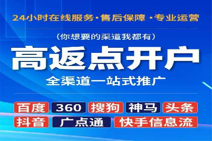网络推广策略：竞价广告的实践案例