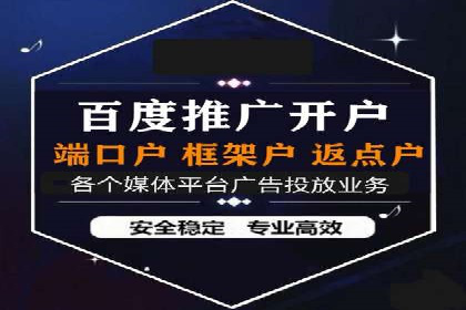 某品牌通过SEM优化公司实现品牌曝光飞跃
